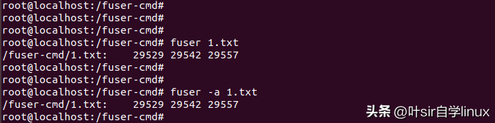 fuser命令详解（fuser查看文件占用）