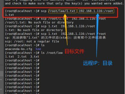 linux传输文件夹到另一台服务器（ssh如何上传文件到服务器）