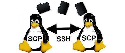 linux传输文件夹到另一台服务器（ssh如何上传文件到服务器）