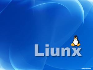 linux查看硬盘大小和可用空间（linux查看系统配置几c几g）