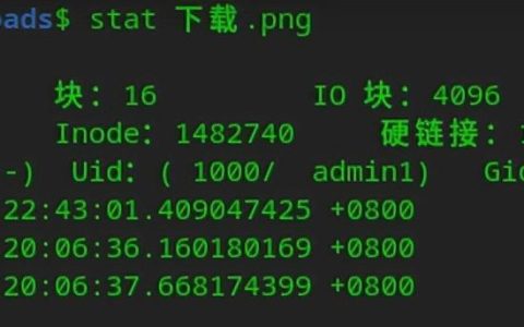 如何在Linux中查看目录大小？有哪些快速方法？