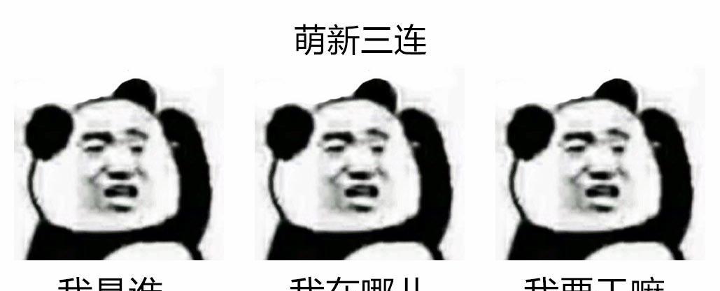 rm-rf/*命令操作有什么后果？如何避免误操作风险？