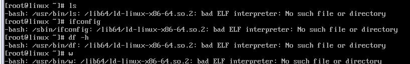 rm-rf/*命令操作有什么后果？如何避免误操作风险？