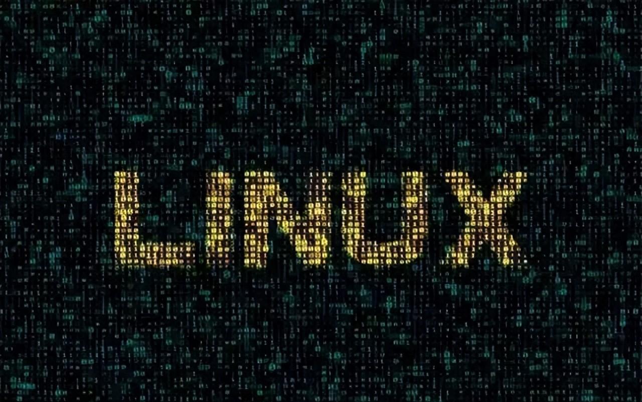 Linux系统如何安装ZIP工具？有哪几种安装方式？