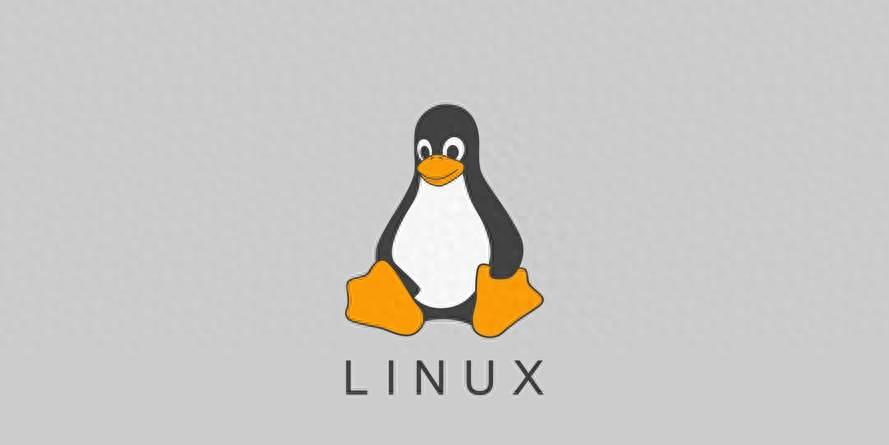 Linux查看CPU频率的命令是什么？如何正确执行？