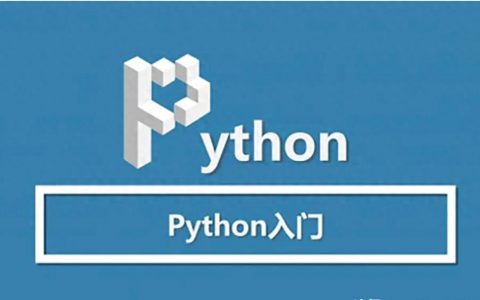 Turtle在Python中的含义是什么？如何使用？