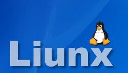 Linux重置系统有风险吗？有哪些正确步骤？