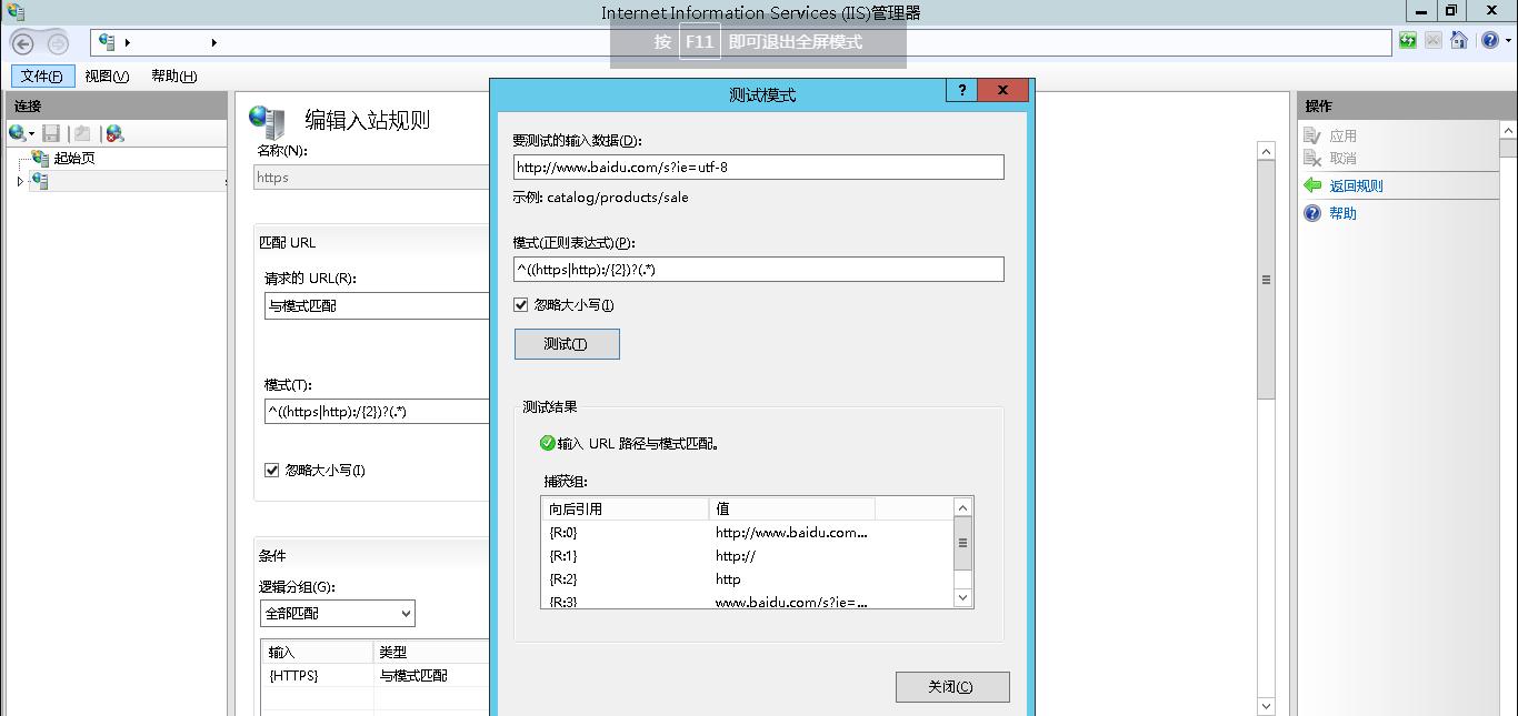 IIS重定向如何操作？有哪些步骤需要注意？