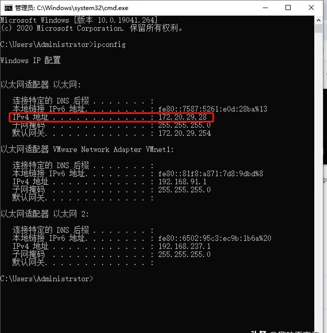 找不到服务器IP地址怎么办？有何快速查找方法？