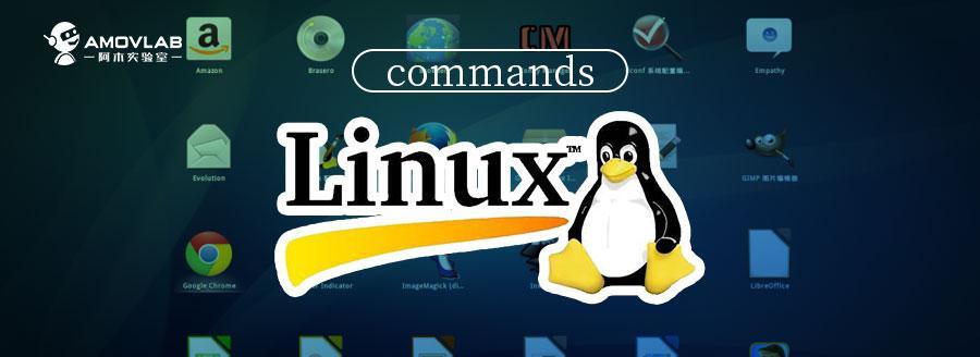 Linux命令删除指定文件时怎么做？有哪些命令快捷键？